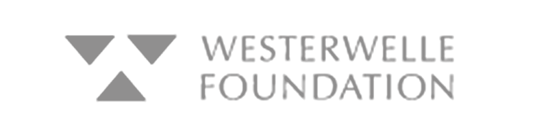 Westerwelle foundation